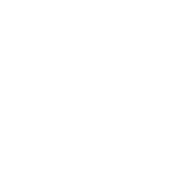 Downloads Icon