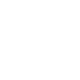 Home Icon