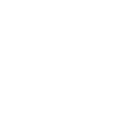 Login Icon
