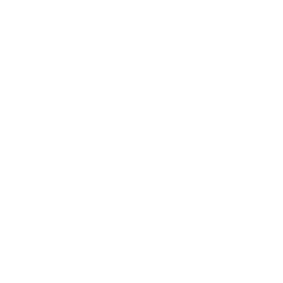 Plans Icon