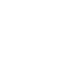 Products Icon